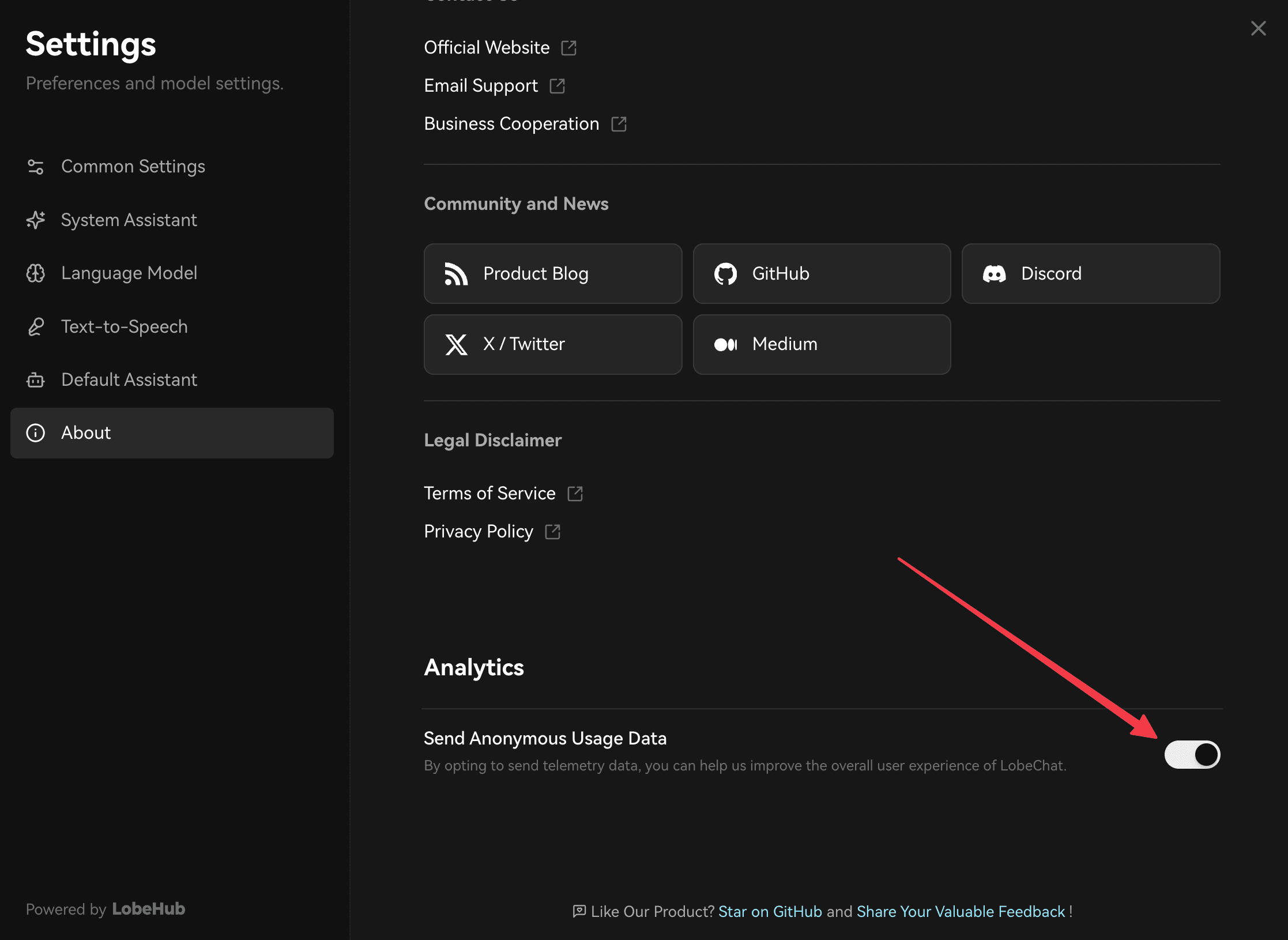 LobeChat settings — enable analytics